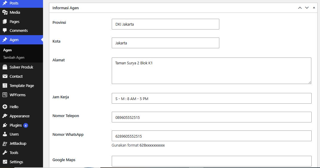 Preview Backend 1