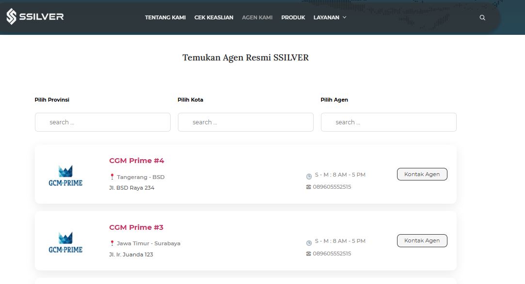 Preview Frontend 1