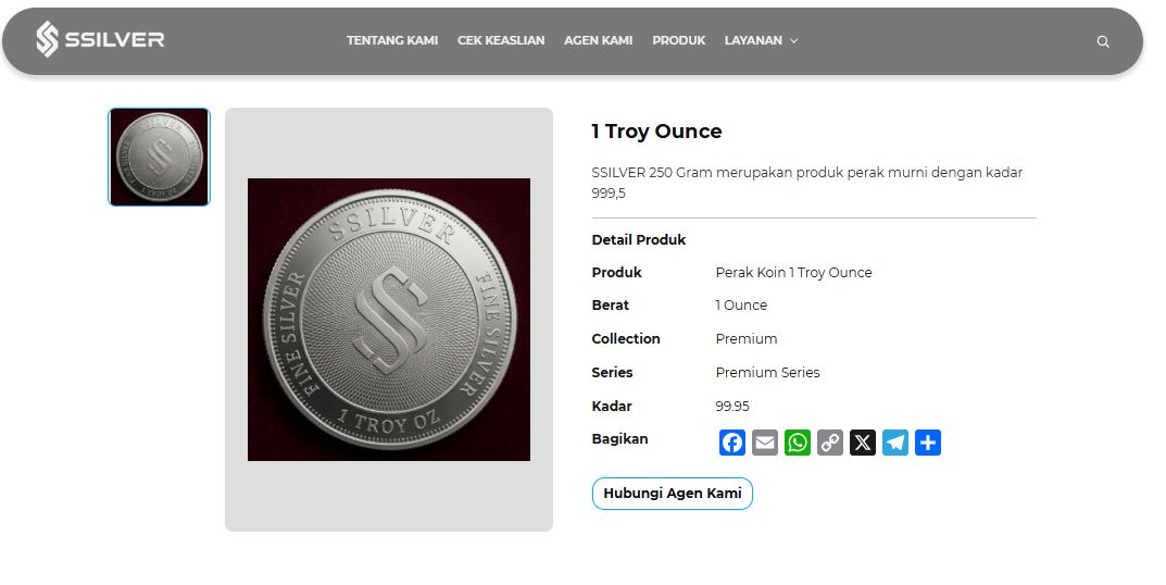 Preview Frontend 1